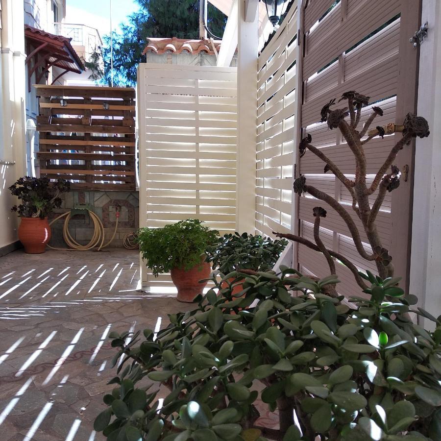 Alternative Country House 10 Minutes From Athens Airport أرتيميدا المظهر الخارجي الصورة